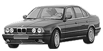 BMW E34 P1293 Fault Code